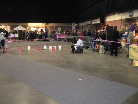 25-10-2009 Show Leuven (B)